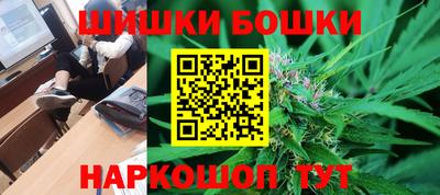 гашик Шелехов