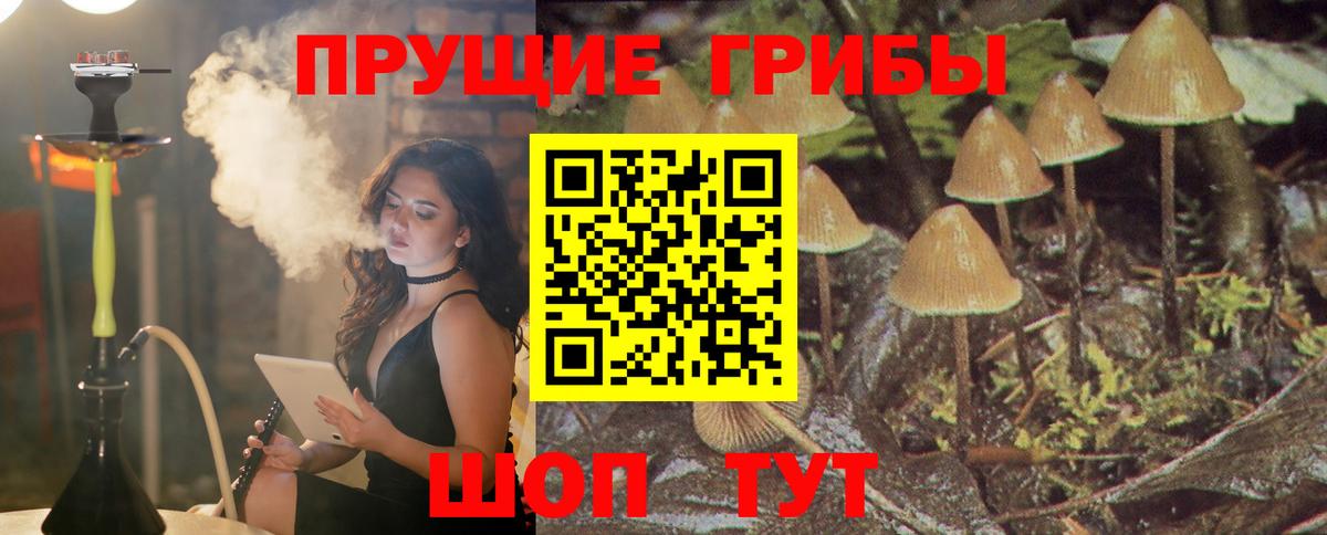 Конаково  Галлюциногенные грибы прущие грибы  Вход с VPN 